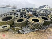 600T OF CLAMP GRASS SILAGE - 4