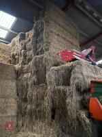 APPROX 50 BALES OF SQUARE HAY BALES - 2