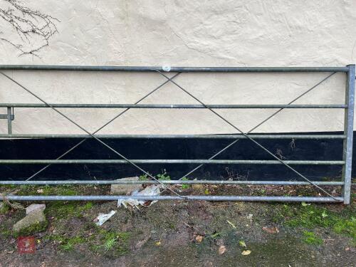 10' GALVANISED FIELD GATE (32)