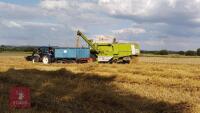 COMBINE HARVESTER CLAAS DOMINATOR 76 - 3