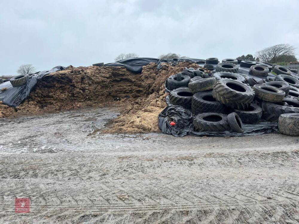 APPROX 500T OF GRASS SILAGE