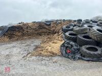 APPROX 500T OF GRASS SILAGE - 4