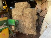 16 CONVENTIONAL BALES OF WHEAT STRAW - 3