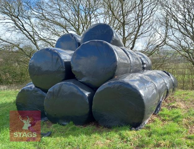 25 BALES OF HAYLAGE