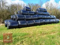 73 BALES OF HAYLAGE - 4