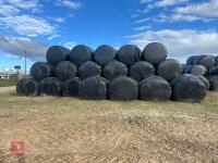 94 ROUND BALES OF 2023 SILAGE - 2