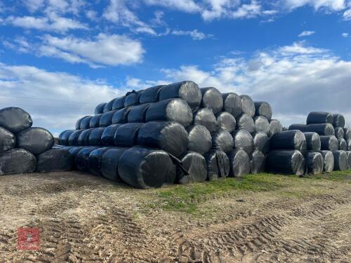 197 ROUND BALES OF 2023 SILAGE