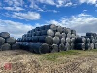 197 ROUND BALES OF 2023 SILAGE - 2