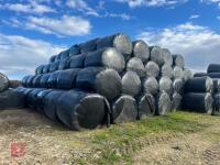 197 ROUND BALES OF 2023 SILAGE - 3