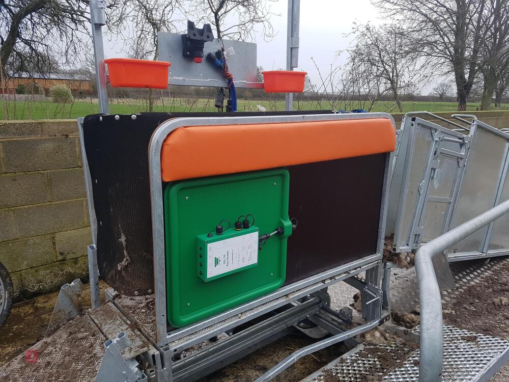 RITCHIE COMBI CLAMP SHEEP HANDLER