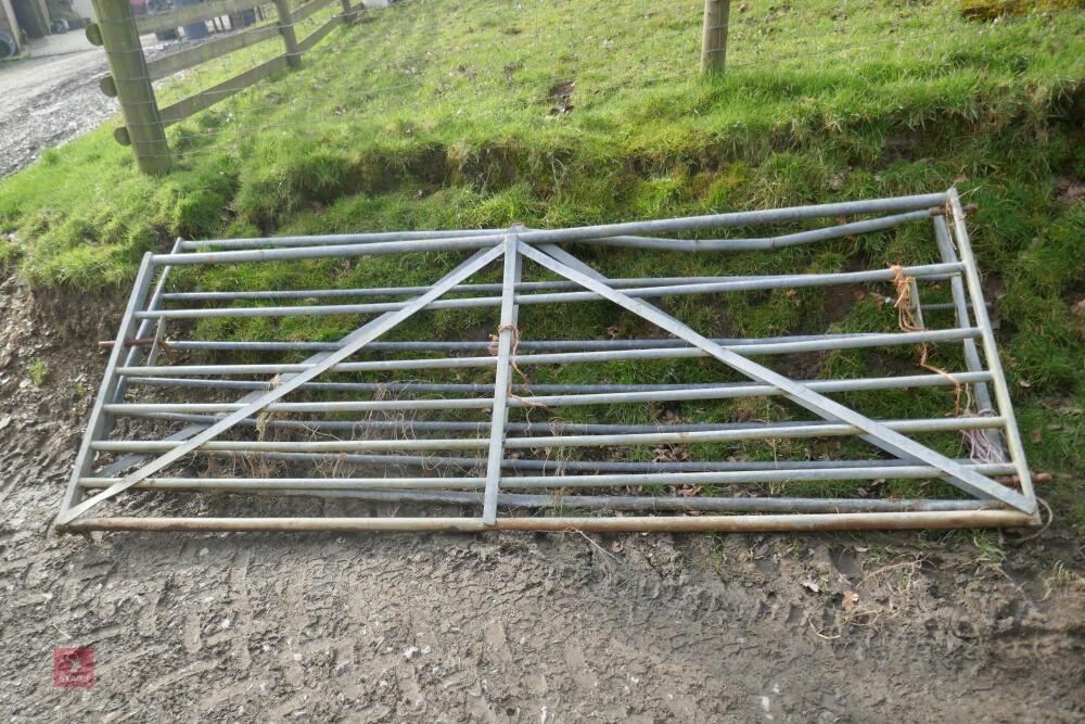 2 X 10' GALVANISED FIELD GATES