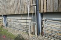 GALVANISED SHEEP GUILOTINE GATE