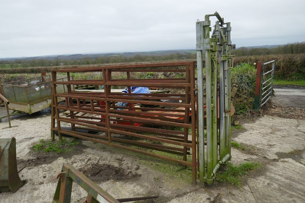 GALVANISED LOCKING HEADYOKE & RACE