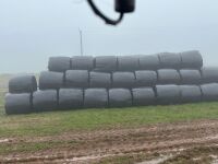 100 ROUND BALES OF 2023 HAYLAGE