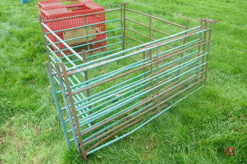 6 SHEEP HURDLES