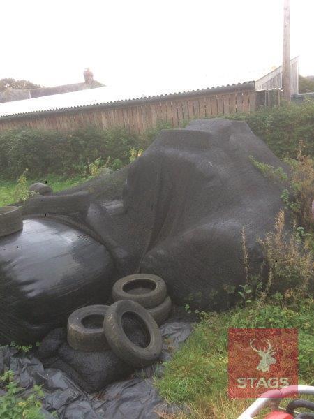 X12 2020 2ND CUT ROUND SILAGE BALES