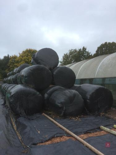 X16 2020 ROUND BALES OF SILAGE