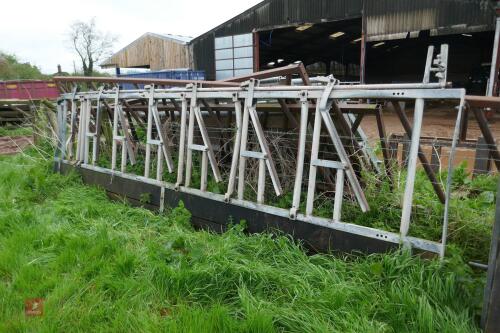 16' SELF LOCKING YOKE CATTLE BARRIER