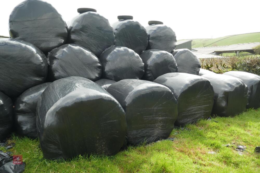 30 ROUND BALES OF SILAGE