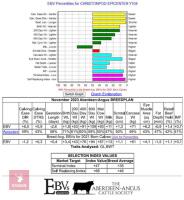 CHRISTONPOD EPICENTER Y104 BULL - 3