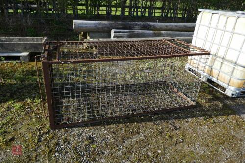 METAL MESH FOX TRAP