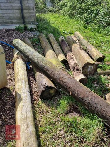 ASSORTED TELEGRAPH POLES