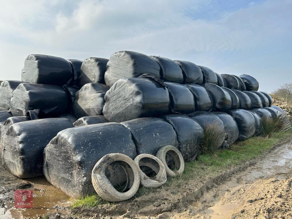 118 BALES OF 2022 RYE GRASS SILAGE