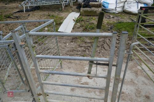 GALVANISED SHEEP RACE GATE