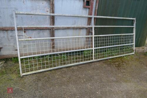 11' GALVANISED GATE