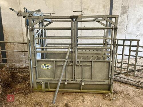 IAE GALVANISED CATTLE CRUSH