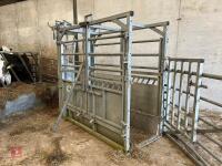 IAE GALVANISED CATTLE CRUSH - 2