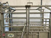 IAE GALVANISED CATTLE CRUSH - 5