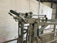 IAE GALVANISED CATTLE CRUSH - 6