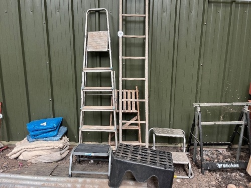 ASSORTED LADDERS & STEPS (251)