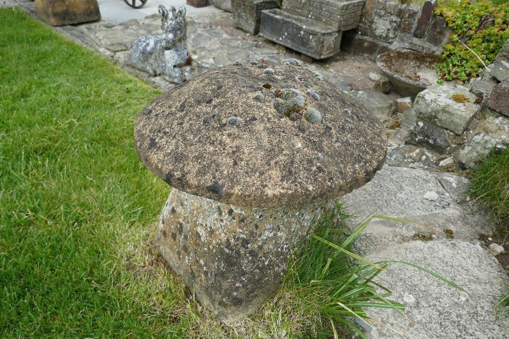 SANDSTONE GARDEN MUSHROOM