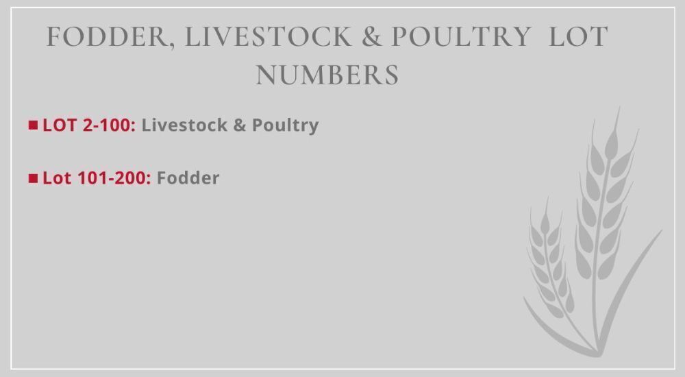 SOUTH WEST SALE LOT CATEGORIES