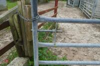 10' GALVANISED HEAVY DUTY YARD GATE - 3