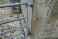 10' GALVANISED HEAVY DUTY YARD GATE - 4