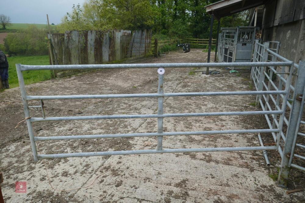 10' GALVANISED HEAVY DUTY YARD GATE