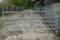 10' GALVANISED HEAVY DUTY YARD GATE - 2