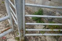 IAE GALVANISED 3' PEDESTRIAN GATE - 5