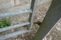 6' GALVANISED YARD GATE - 5