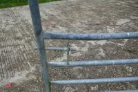 10' GALVANISED HEAVY DUTY YARD GATE - 6