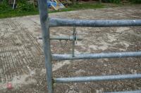 10' GALVANISED HEAVY DUTY YARD GATE - 7