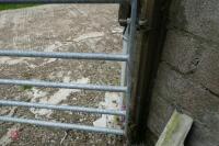 10' GALVANISED HEAVY DUTY YARD GATE - 8