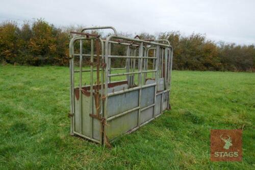 GALVANISED CATTLE CRUSH