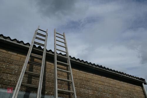 YOUNGMAN SINGLE 17' ALUMINIUM LADDER