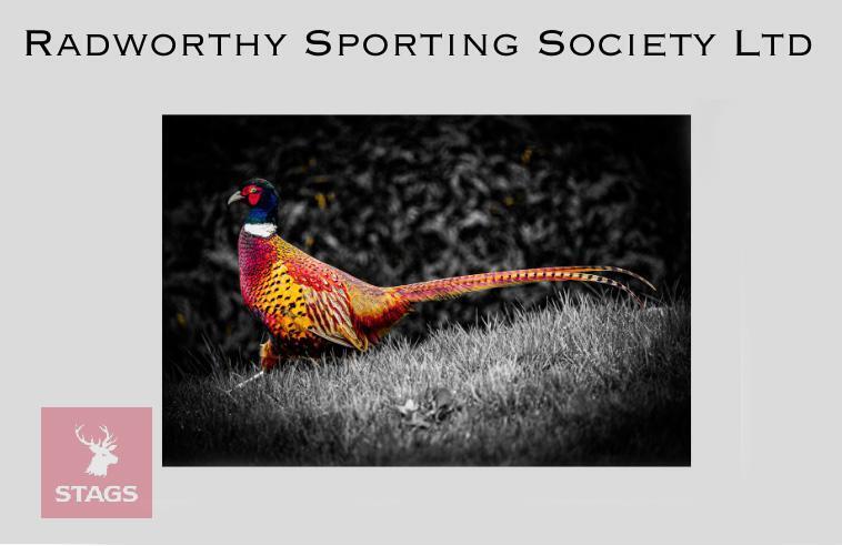 250+ BIRD SHOOT AT RADWORTHY SPORTING