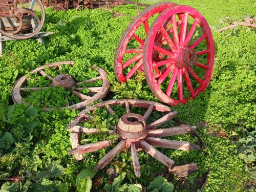 4 VINTAGE CART WHEELS