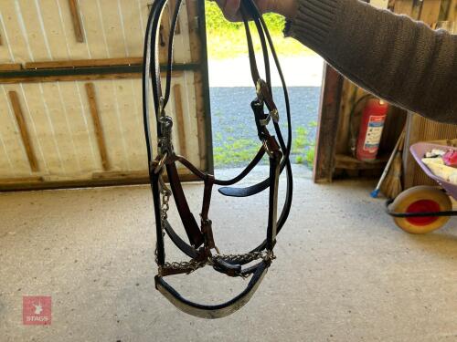 IN HAND WESTERN SHOWMANSHIP BRIDLE